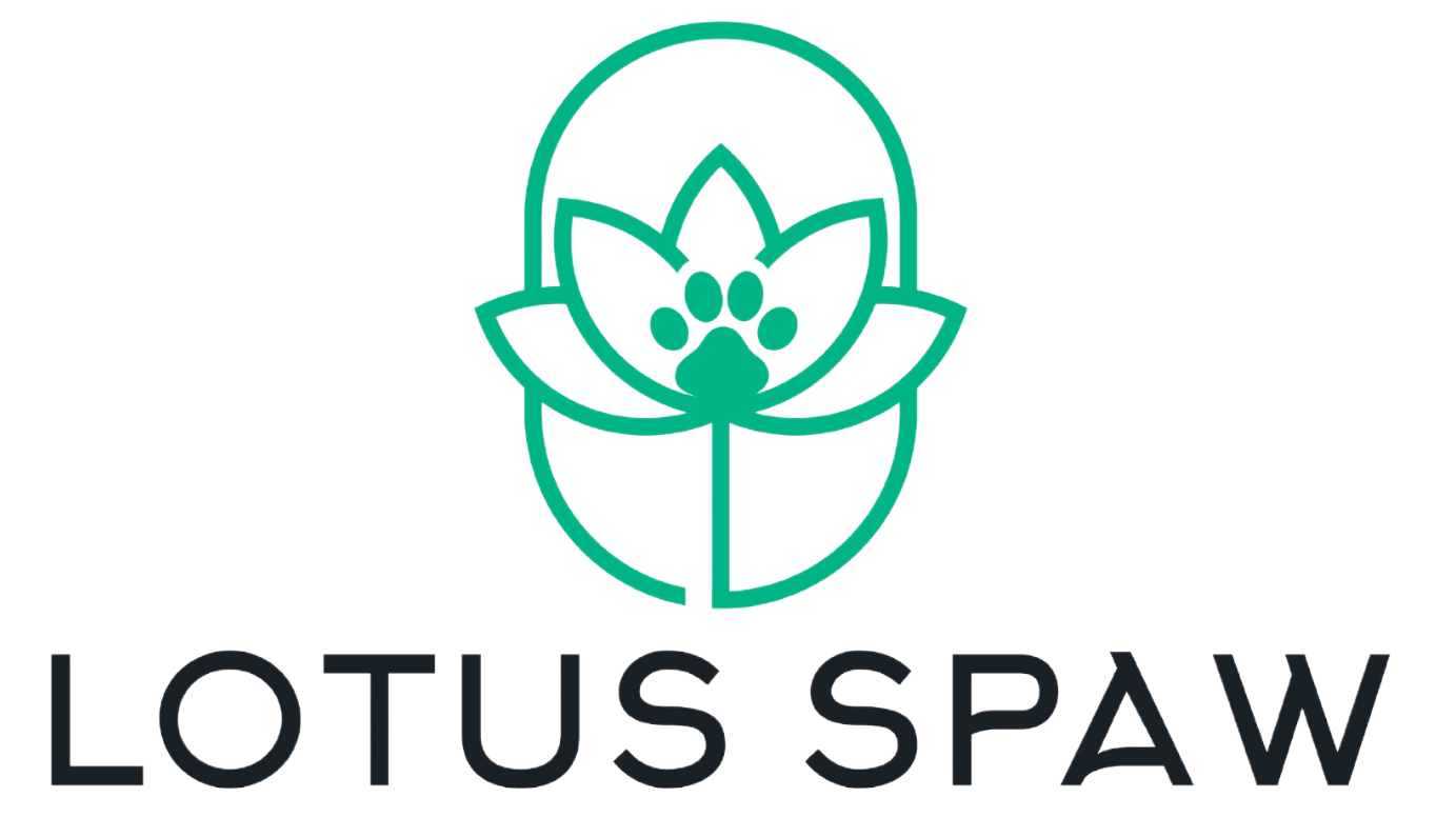 Dog grooming|Lotus Spaw